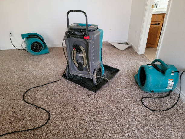 Best Ceiling water damage repair  in Sandersville, GA