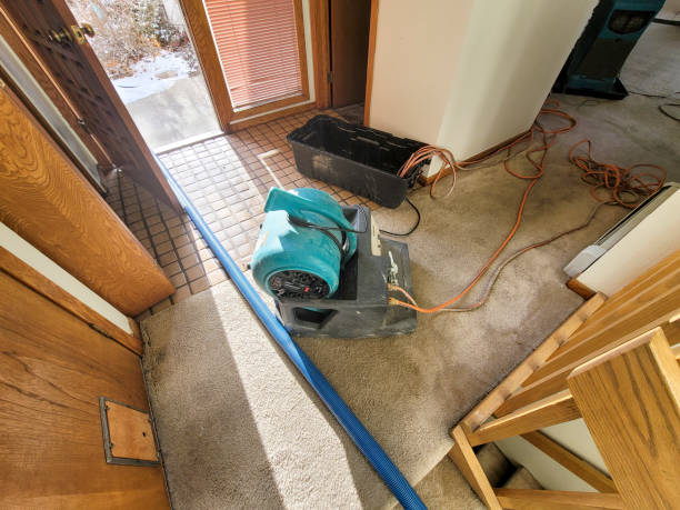 Best Professional water damage repair  in Sandersville, GA