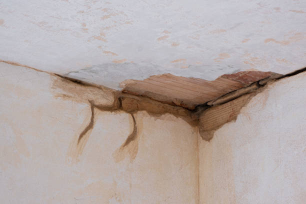 Best Basement water damage restoration  in Sandersville, GA