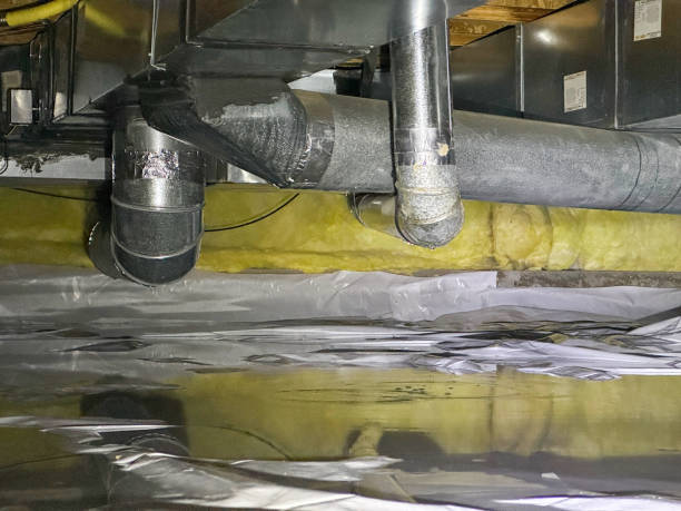 Best Carpet water damage restoration  in Sandersville, GA
