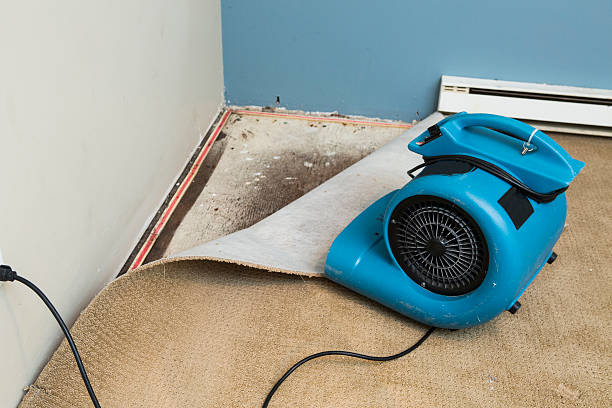 Best 24/7 water damage repair  in Sandersville, GA